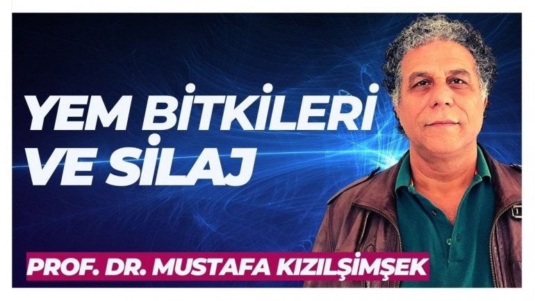 YEM BİTKİLERİ VE SİLAJ | Çevre Sohbetleri Canlı Yayını | - Prof. Dr. Mustafa Kızılşimşek